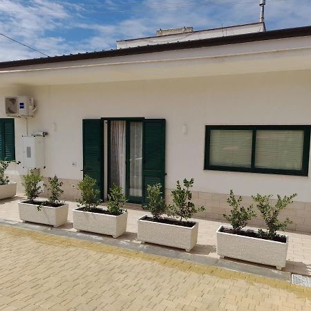 Ferienwohnung Alla Palma Alcamo Exterior foto